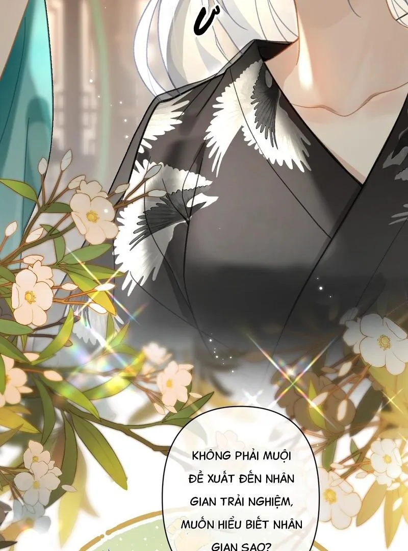 Đến Đông Hải Tìm Mỹ Nhân - Chương 40 - Trang 8