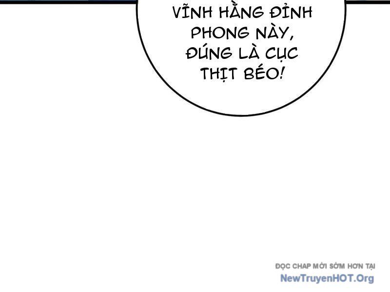 Vô Địch Bị Động Tạo Ra Tấn Sát Thương - Chương 106 - Trang 175