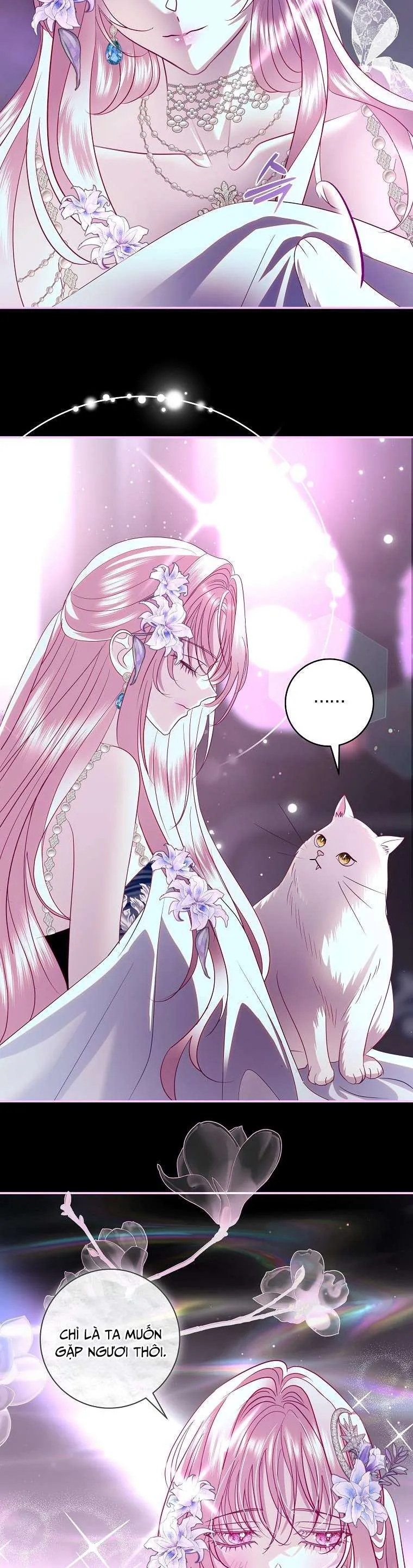 Phản Diện À, Tôi Sẽ Làm Mọi Thứ Cho Anh Trừ Kết Hôn Nhé! - Chương 41 - Trang 23