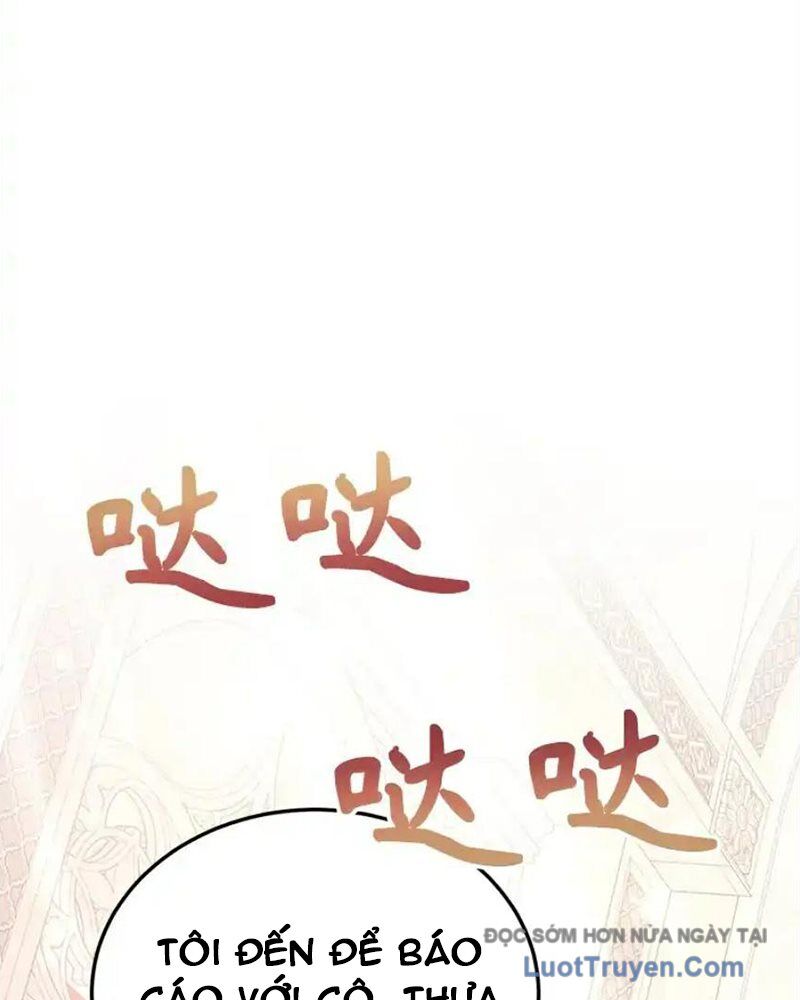 Tôi May Mắn Triệu Hồi Được Tinh Linh Hộ Vệ Hạng 10 - Chương 38 - Trang 5