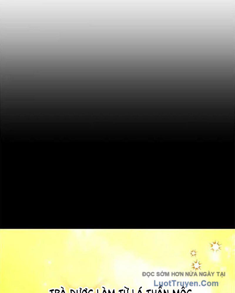 Tôi May Mắn Triệu Hồi Được Tinh Linh Hộ Vệ Hạng 10 - Chương 38 - Trang 17