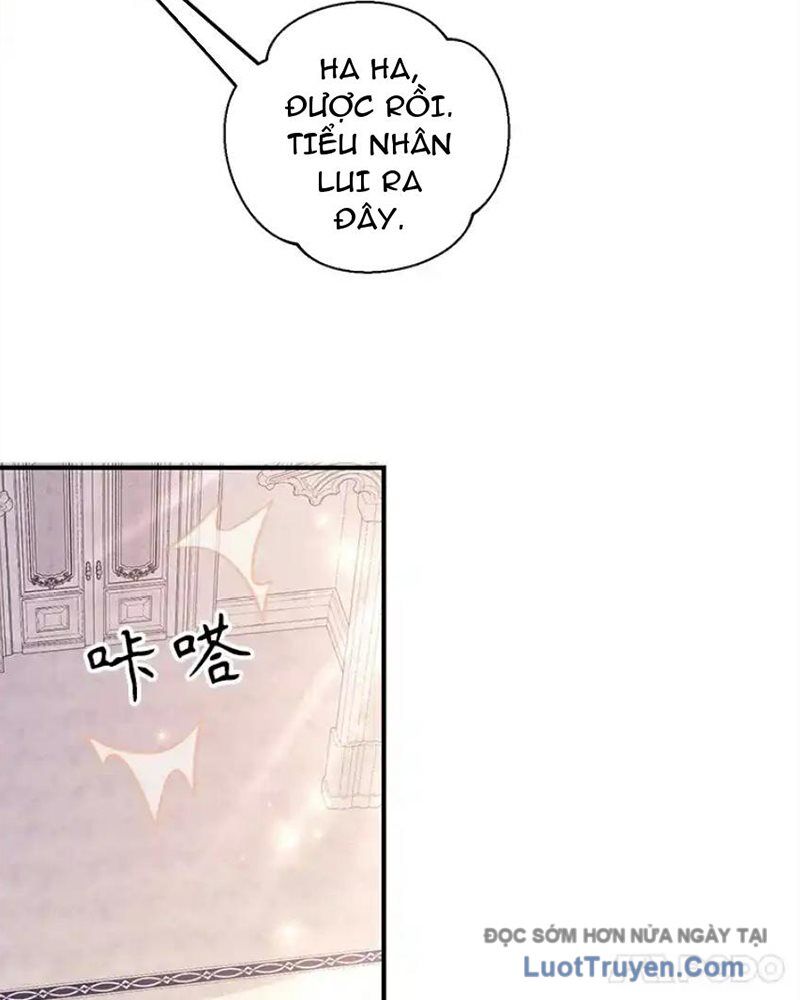 Tôi May Mắn Triệu Hồi Được Tinh Linh Hộ Vệ Hạng 10 - Chương 38 - Trang 40
