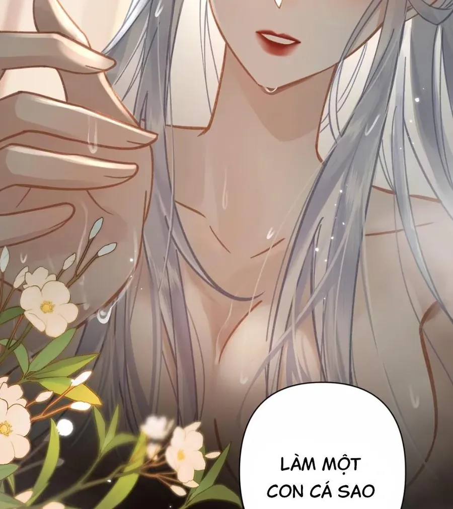 Đến Đông Hải Tìm Mỹ Nhân - Chương 53 - Trang 45