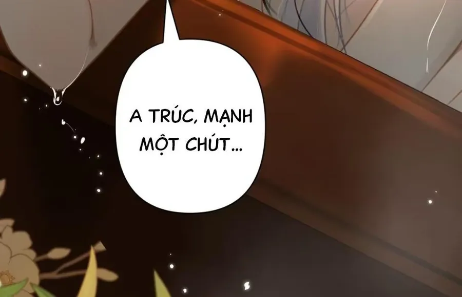 Đến Đông Hải Tìm Mỹ Nhân - Chương 53 - Trang 32