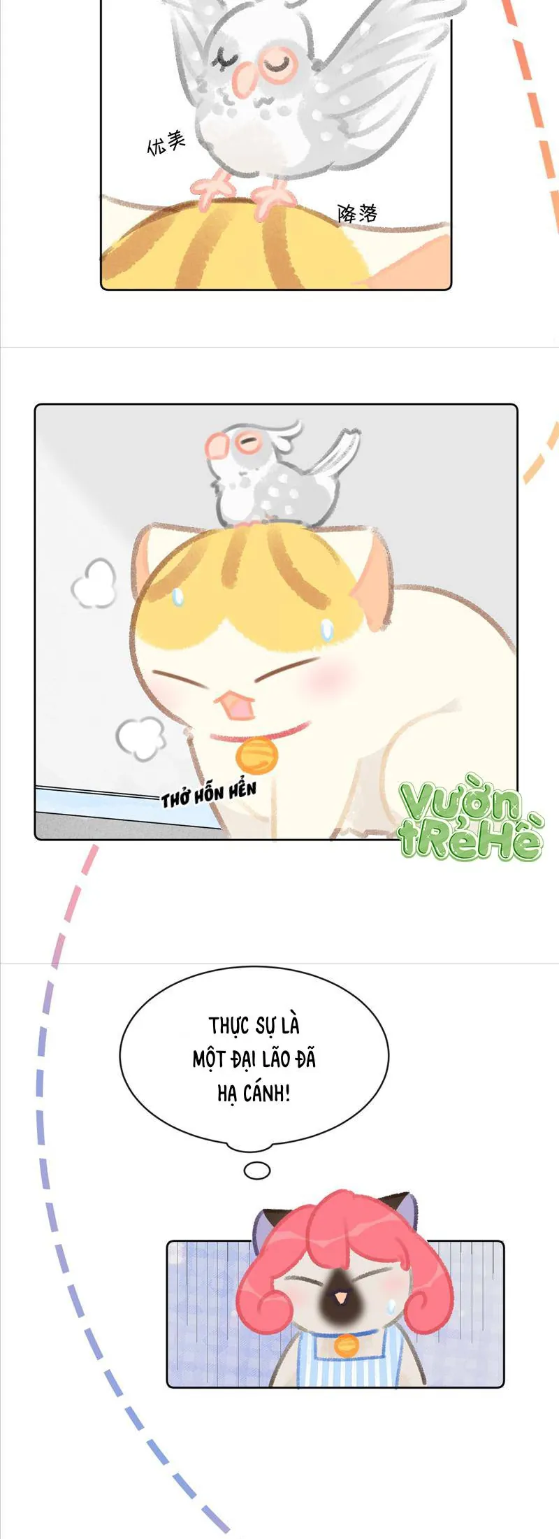 Lục Lạc Mèo - Chương 23 - Trang 6
