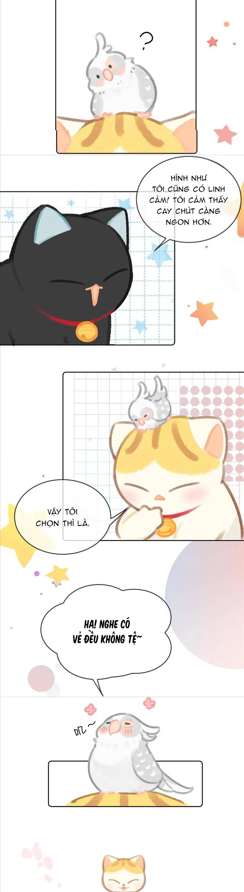 Lục Lạc Mèo - Chương 23 - Trang 8