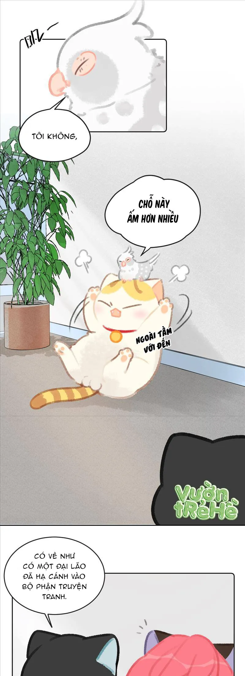 Lục Lạc Mèo - Chương 23 - Trang 4