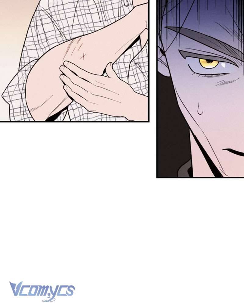 Tối Nay Tôi Là Người Được Cô Ấy Chọn - Chương 1 - Trang 222