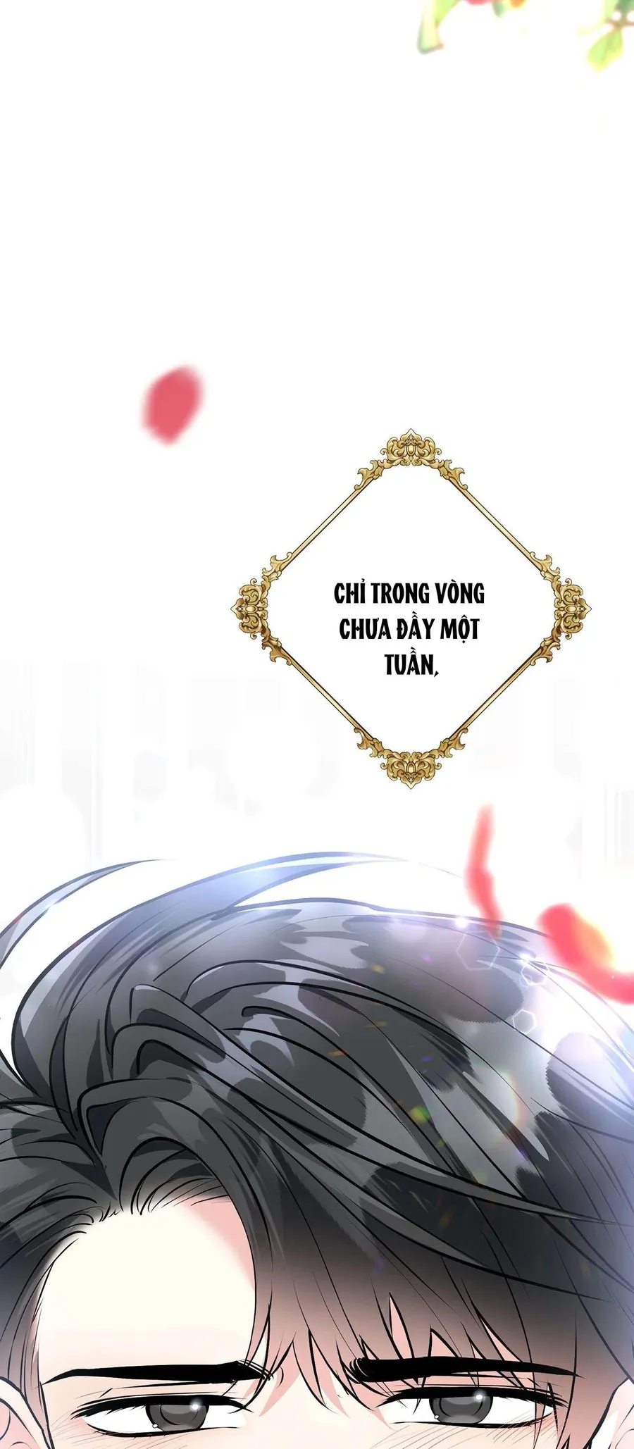 Quả Đào Mật Tháng 6 - Chương 19 - Trang 7