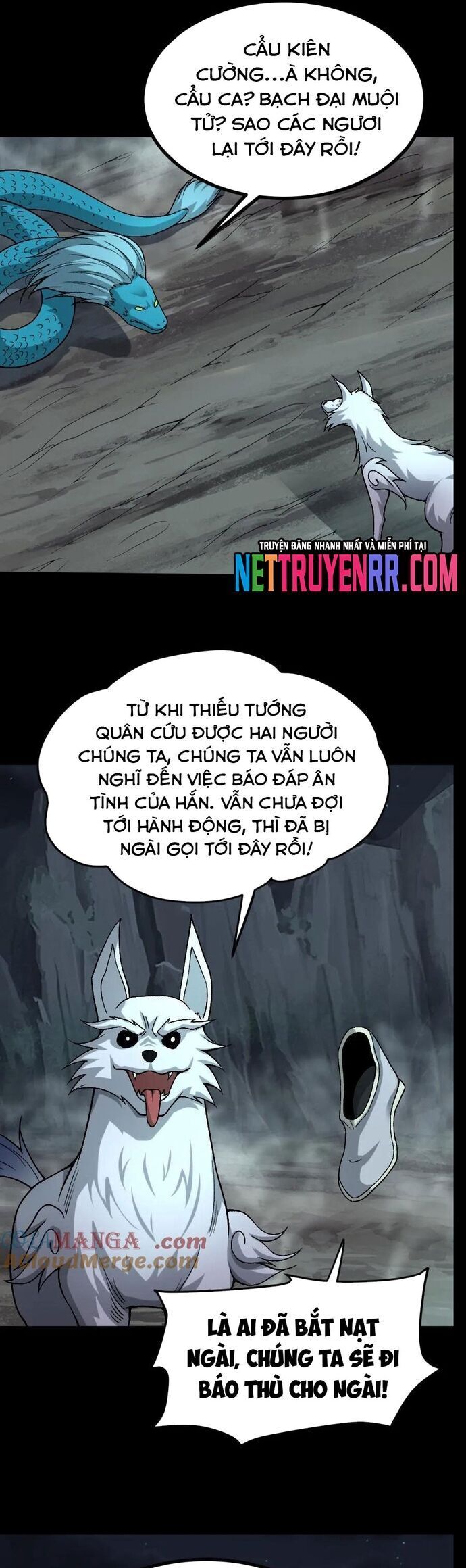 Ngày Tôi Sinh Ra, Bách Quỷ Dạ Hành, Tuyết Thi Hộ Đạo