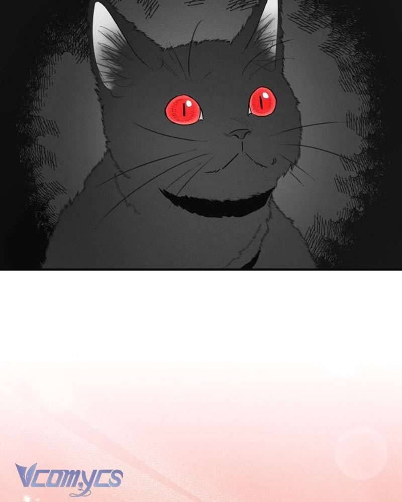 Tối Nay Tôi Là Người Được Cô Ấy Chọn - Chương 2 - Trang 138