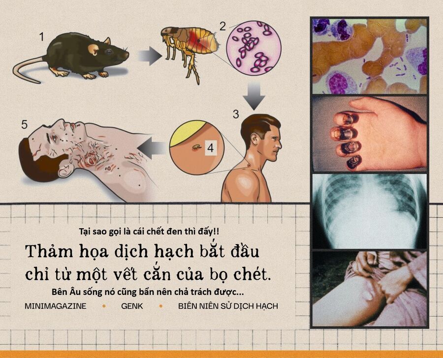 Hổ Đến Chơi Nhà - Chương 156 - Trang 19