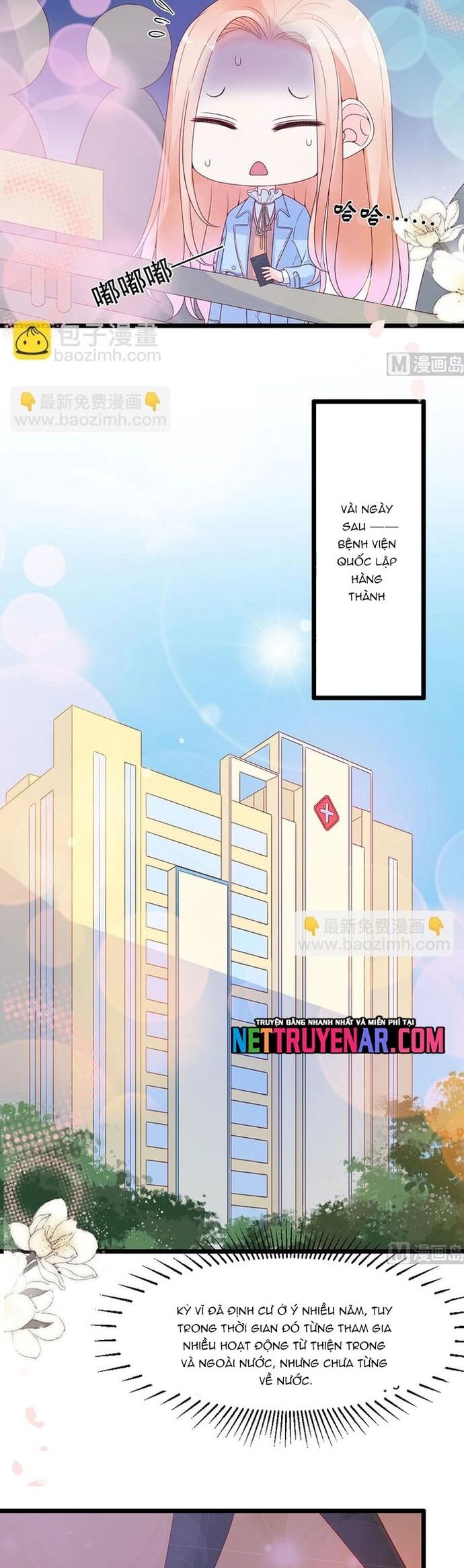 Chu Tiên Sinh, Ép Cưới Phạm Pháp Đó - Chương 115 - Trang 11