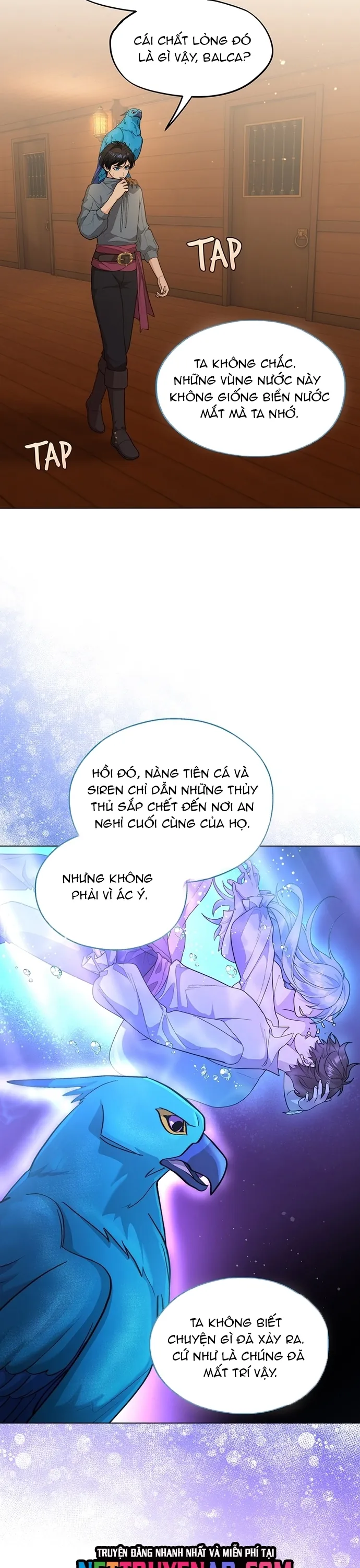 Hải Âu & Sói Hoang - Chương 56 - Trang 5