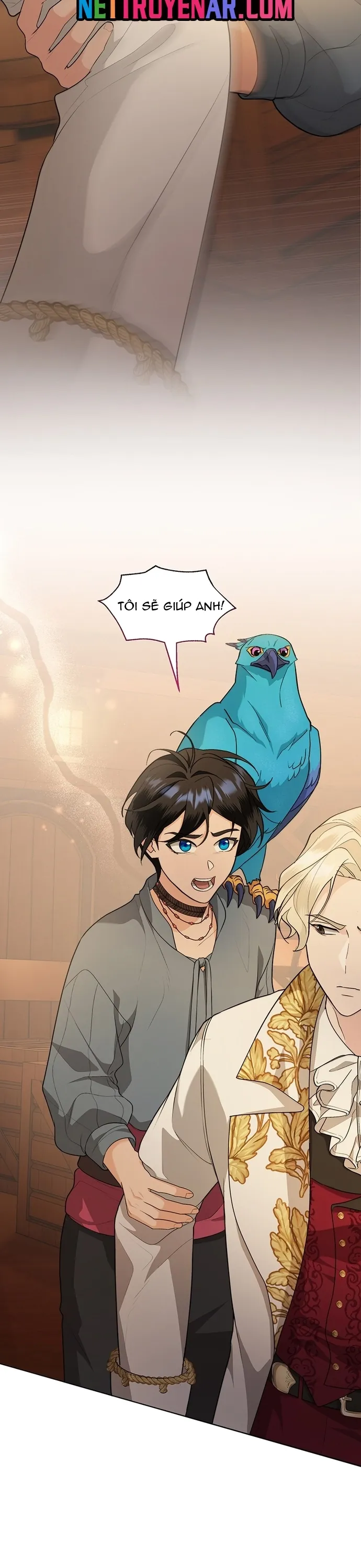 Hải Âu & Sói Hoang - Chương 56 - Trang 36