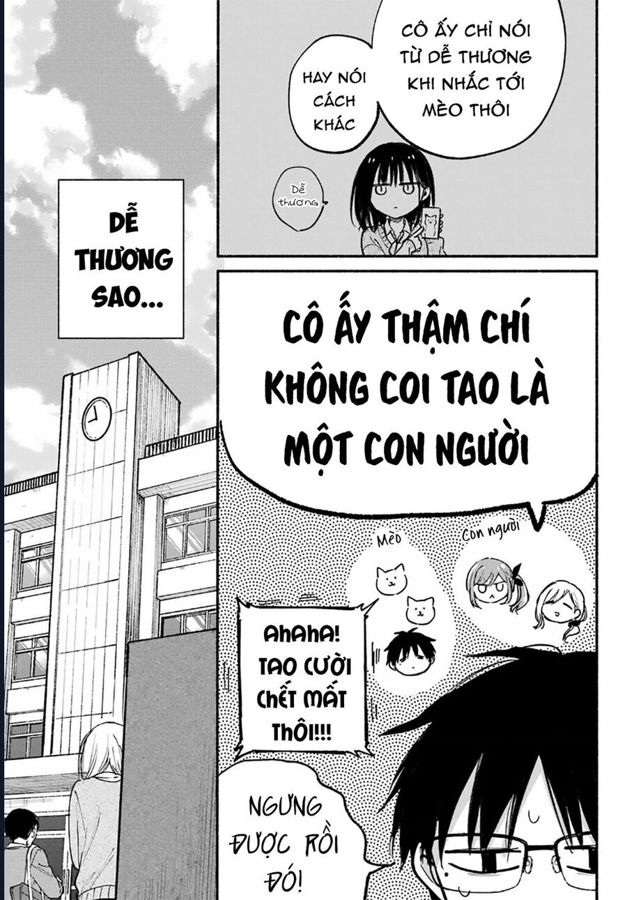 Cô nàng mèo ngủ gật và Chàng trai hướng nội