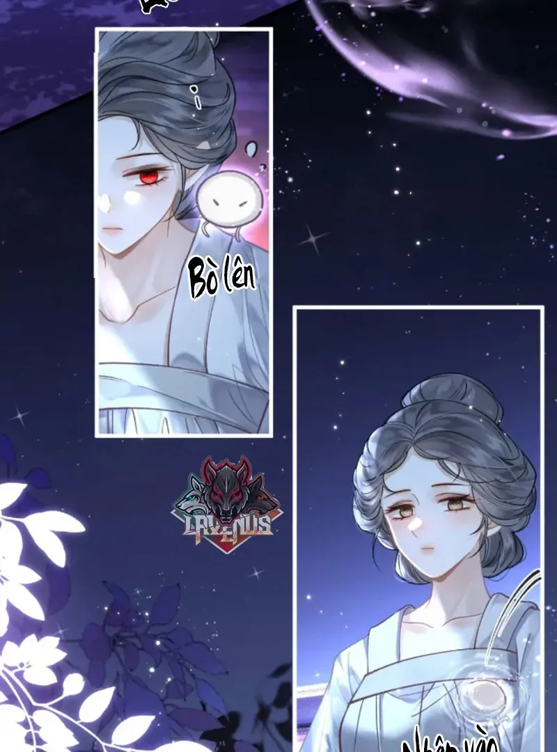 Đến Đông Hải Tìm Mỹ Nhân - Chương 64 - Trang 23