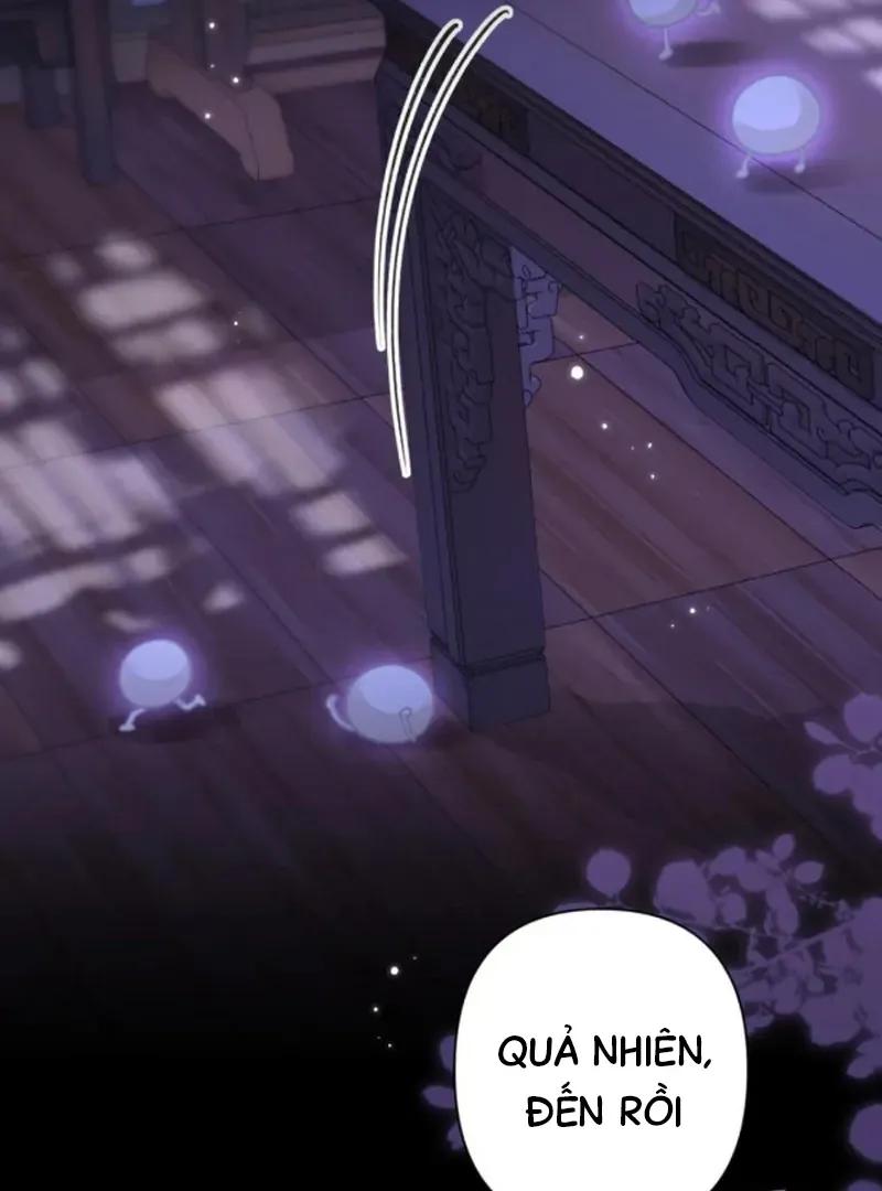 Đến Đông Hải Tìm Mỹ Nhân - Chương 64 - Trang 3