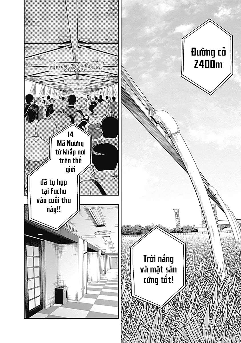 Uma Musume: Cinderella Gray - Chương 51 - Trang 4