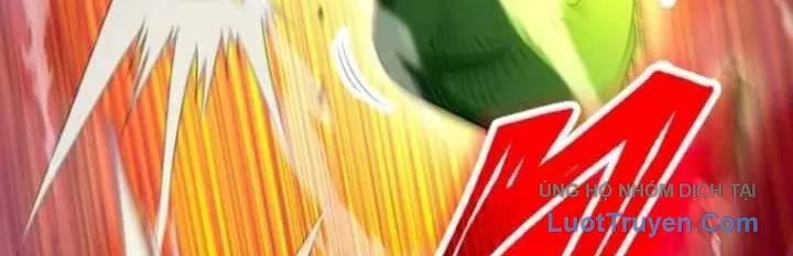 Đại Hiền Giả Sở Hữu Trăm Ma Thạch - Chương 7 - Trang 259