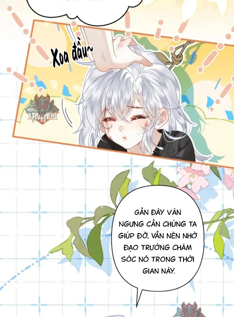 Đến Đông Hải Tìm Mỹ Nhân - Chương 57 - Trang 52