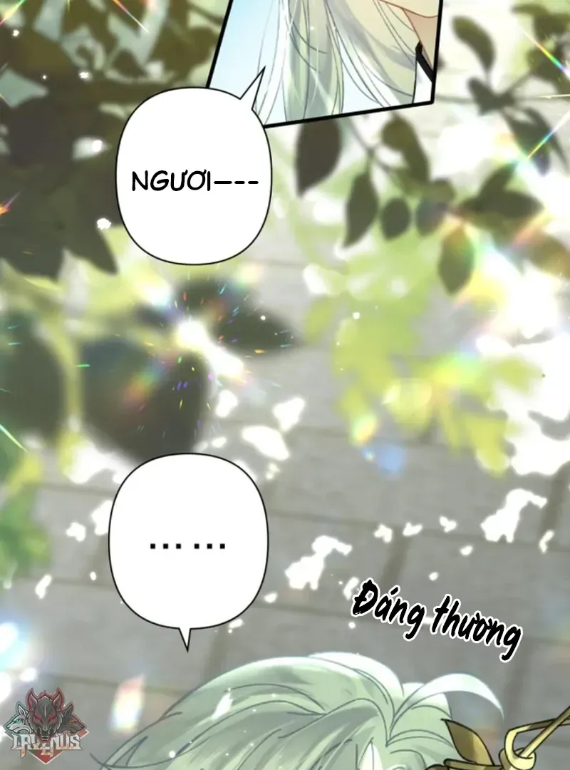 Đến Đông Hải Tìm Mỹ Nhân - Chương 57 - Trang 72