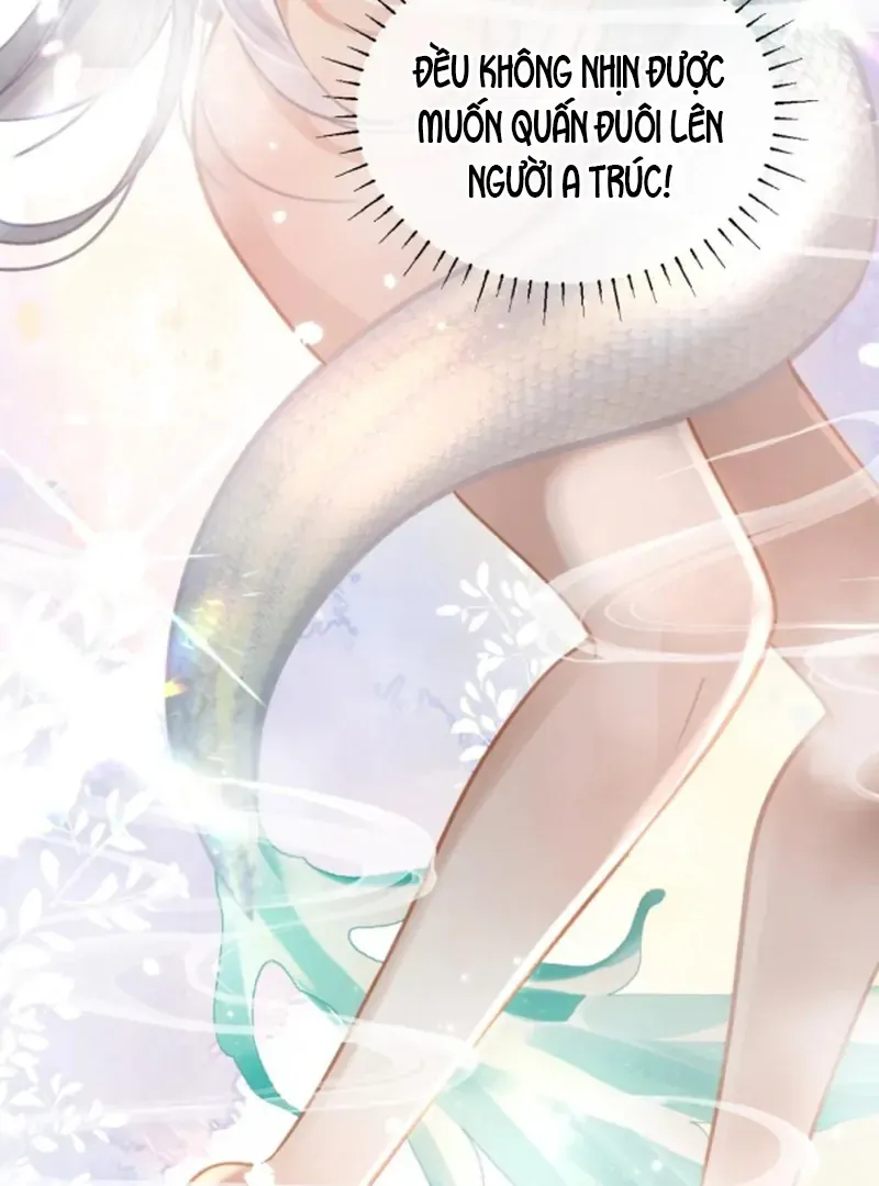 Đến Đông Hải Tìm Mỹ Nhân - Chương 57 - Trang 67