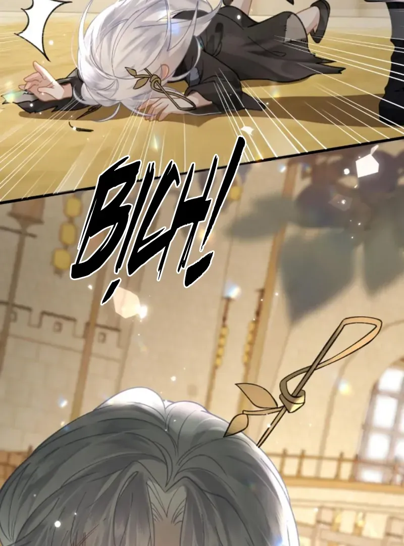 Đến Đông Hải Tìm Mỹ Nhân - Chương 57 - Trang 14