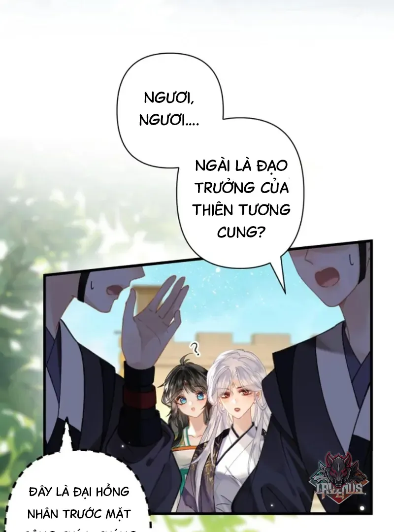 Đến Đông Hải Tìm Mỹ Nhân - Chương 57 - Trang 31