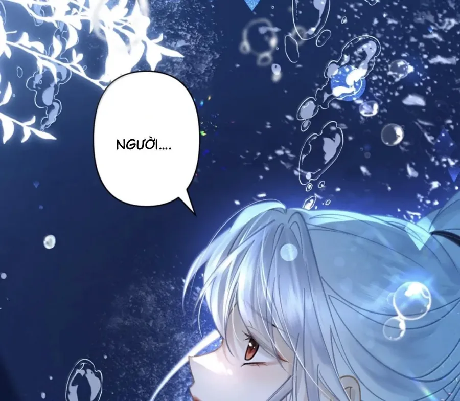 Đến Đông Hải Tìm Mỹ Nhân - Chương 38 - Trang 57