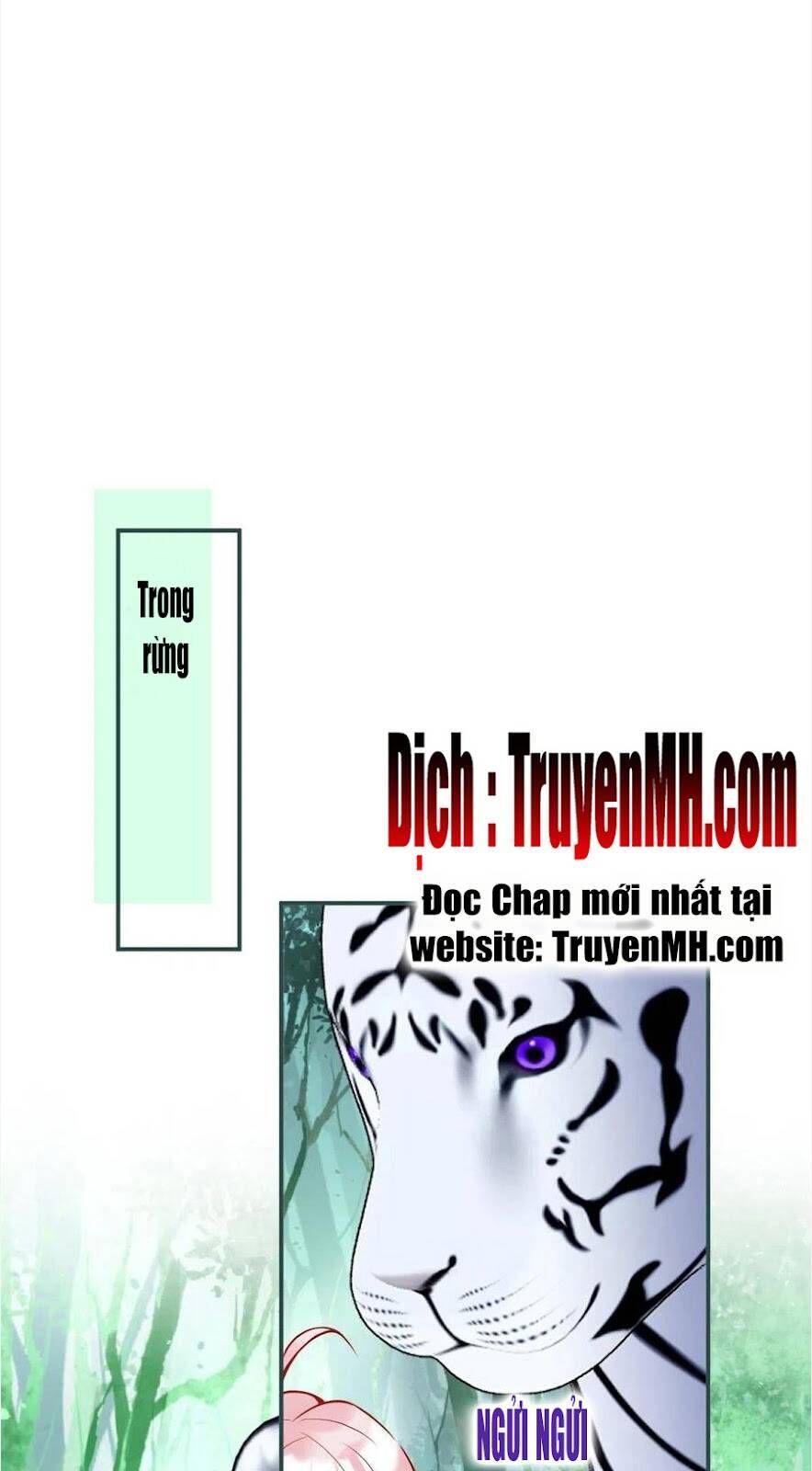 Nam Thành Chờ Trăng Về - Chương 268 - Trang 19