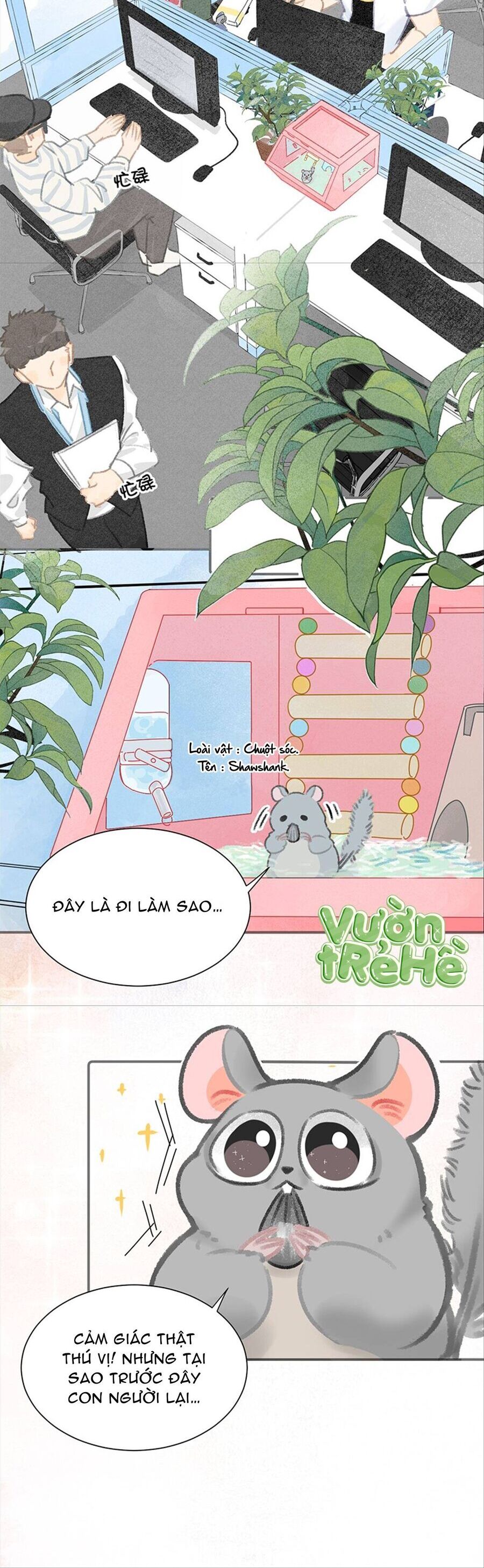 Lục Lạc Mèo - Chương 14 - Trang 3