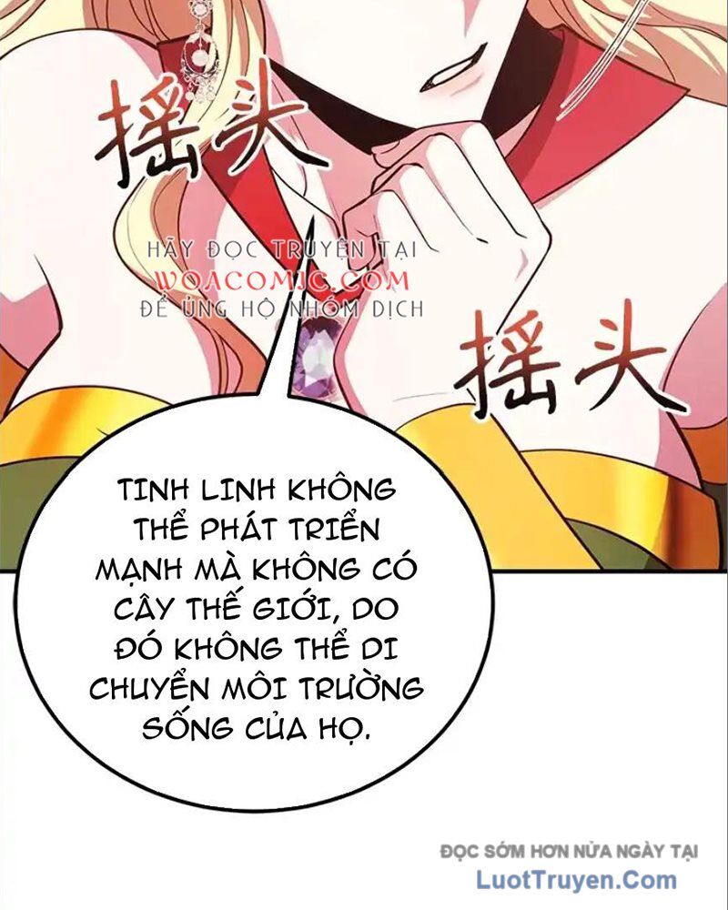Tôi May Mắn Triệu Hồi Được Tinh Linh Hộ Vệ Hạng 10 - Chương 41 - Trang 63