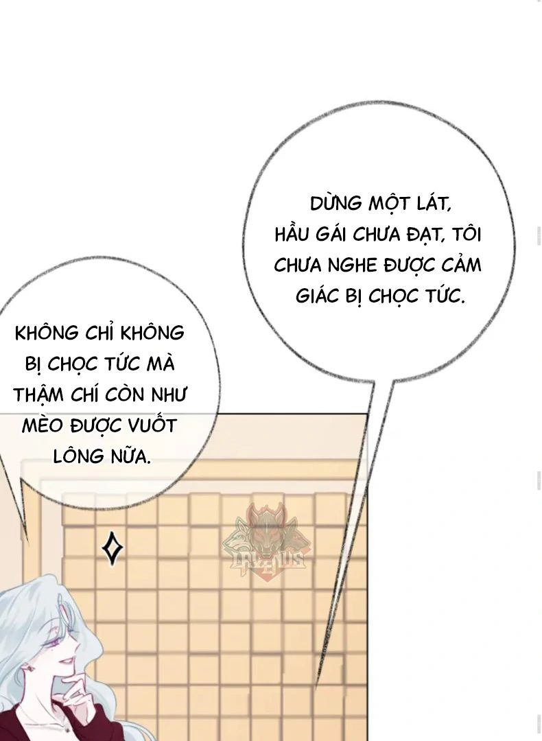 Decibel Nhịp Tim - Chương 4 - Trang 37