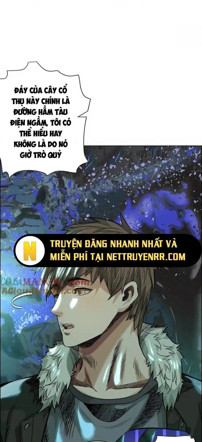 Thập Nhị Tinh - Chương 73 - Trang 12
