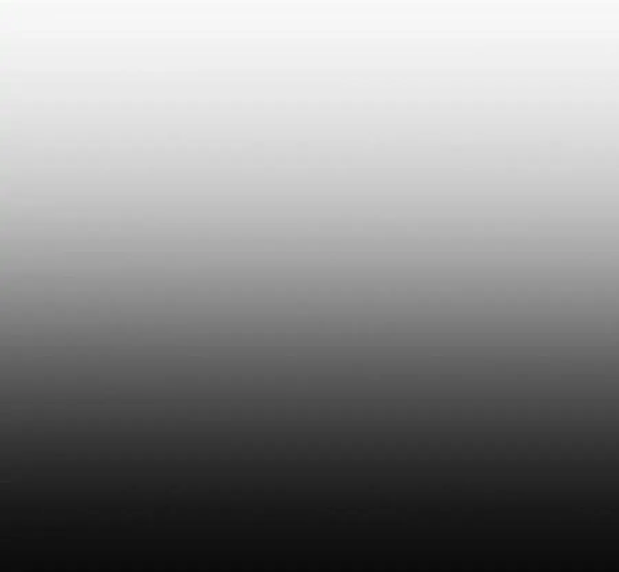 Câu Chuyện Sinh Tồn Của Kiếm Vương Ở Thế Giới Khác - Chương 76 - Trang 242