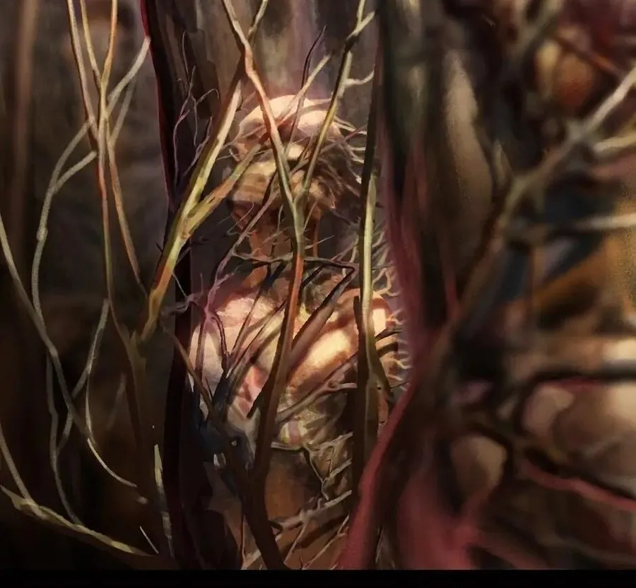 Câu Chuyện Sinh Tồn Của Kiếm Vương Ở Thế Giới Khác - Chương 76 - Trang 244