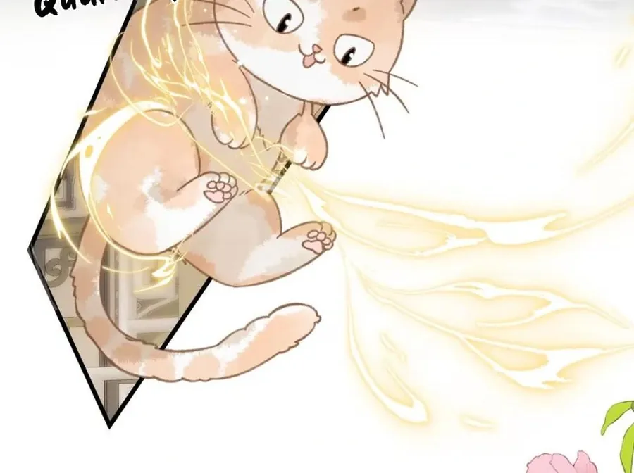 Đến Đông Hải Tìm Mỹ Nhân - Chương 52 - Trang 7