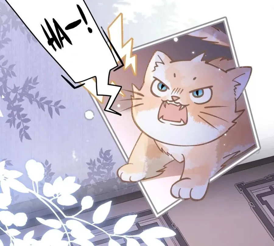 Đến Đông Hải Tìm Mỹ Nhân - Chương 52 - Trang 20