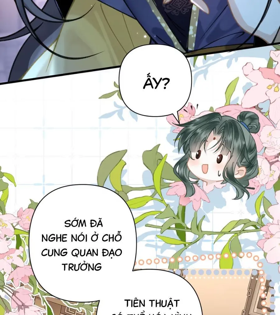 Đến Đông Hải Tìm Mỹ Nhân - Chương 52 - Trang 29