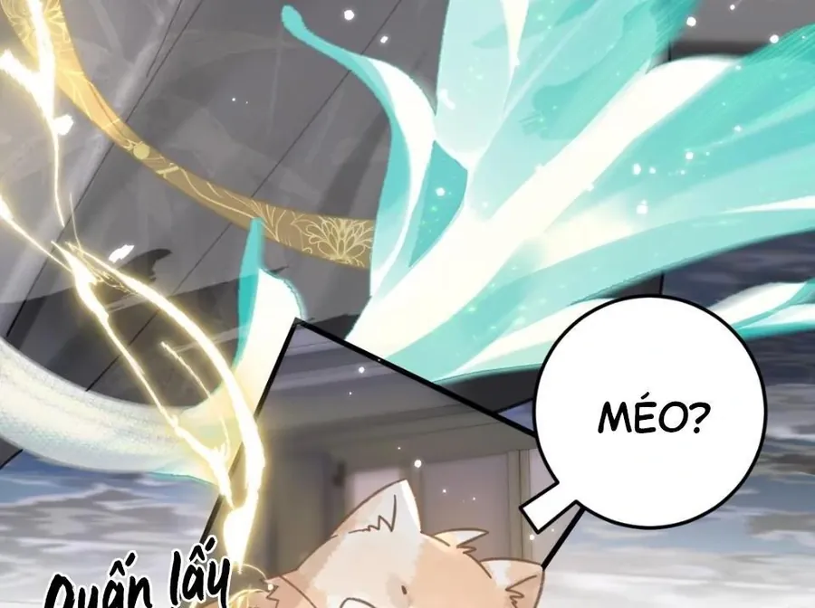 Đến Đông Hải Tìm Mỹ Nhân - Chương 52 - Trang 6