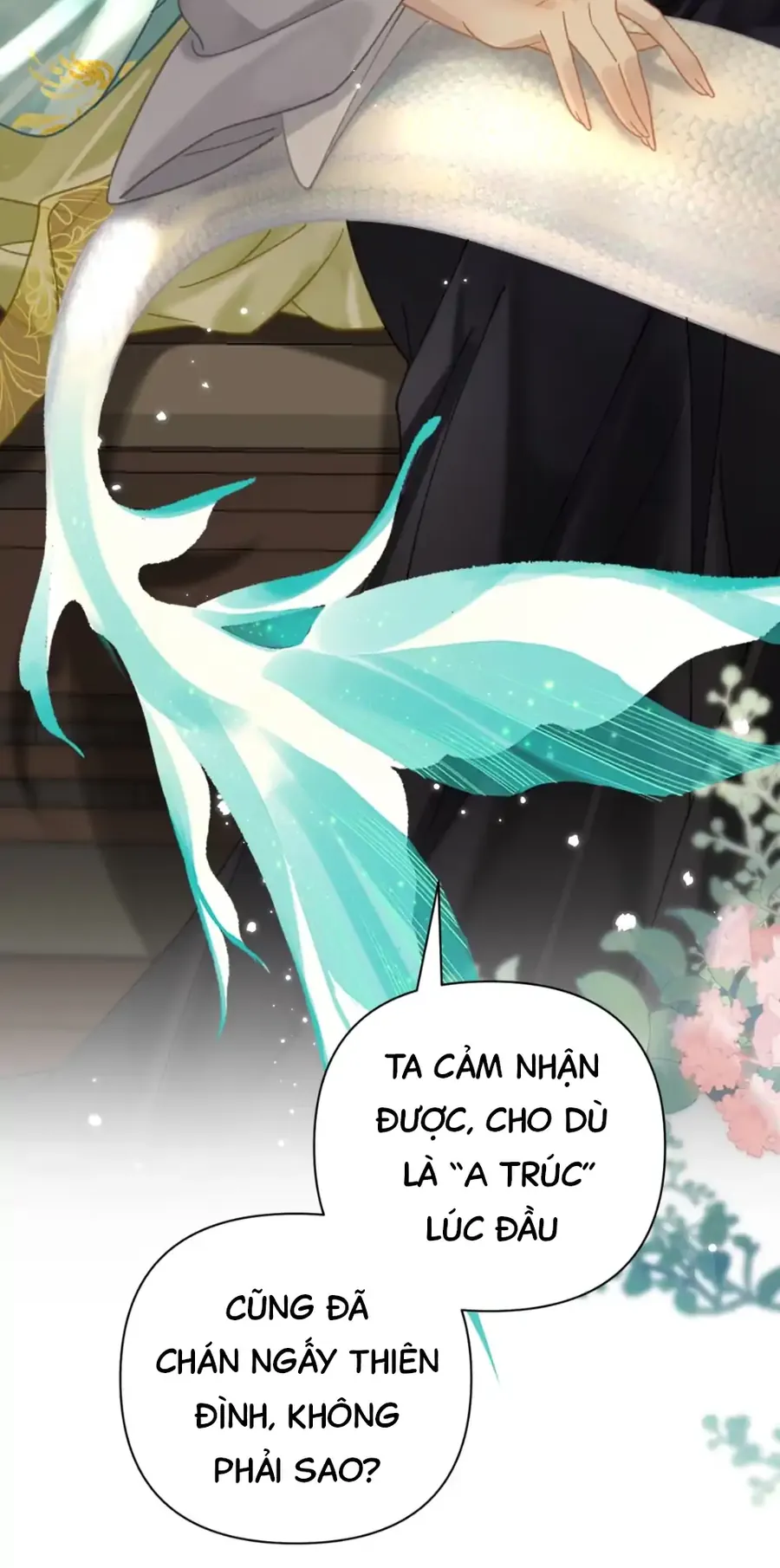 Đến Đông Hải Tìm Mỹ Nhân - Chương 52 - Trang 64