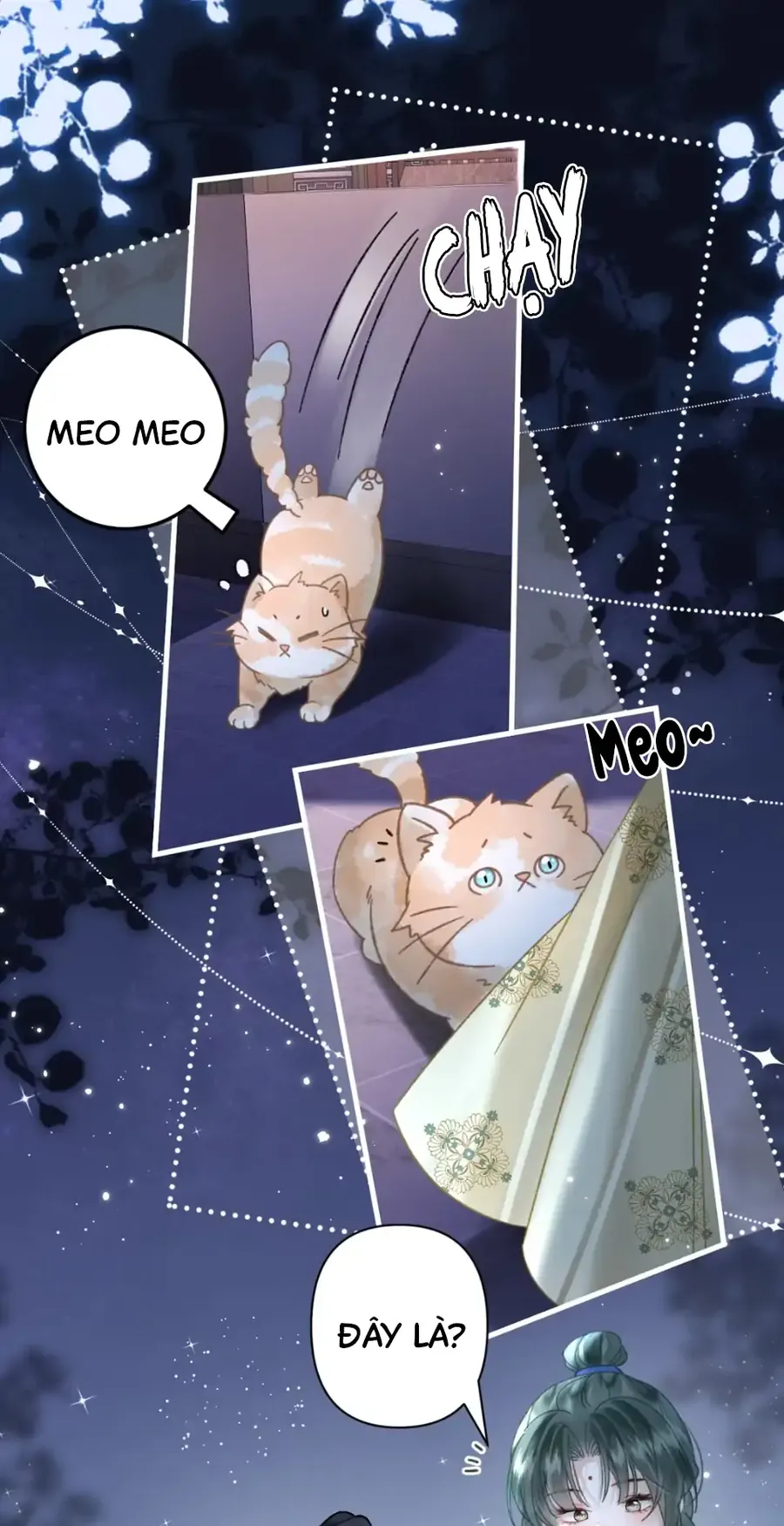 Đến Đông Hải Tìm Mỹ Nhân - Chương 52 - Trang 12