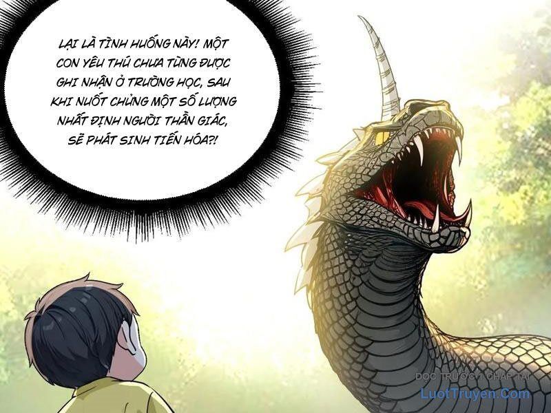 Sau Khi Đầu Thai, Ta Được Kẻ Thù Khắc Thành Vô Địch - Chương 14 - Trang 5