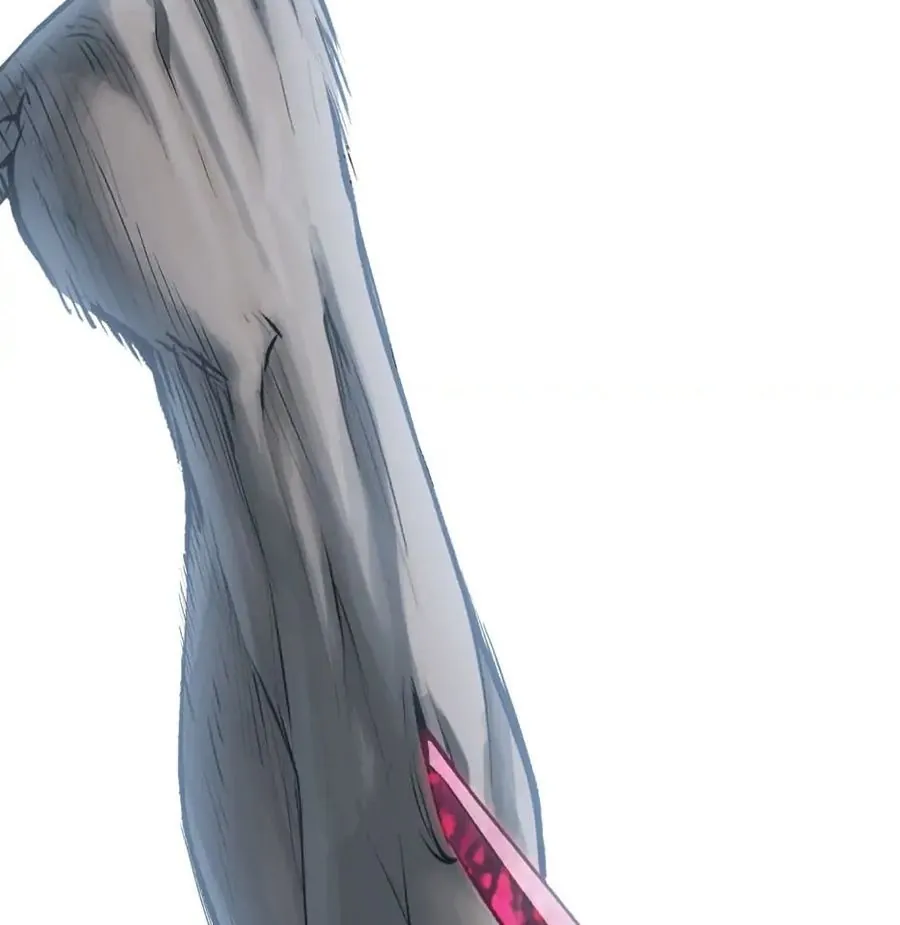 Câu Chuyện Sinh Tồn Của Kiếm Vương Ở Thế Giới Khác - Chương 124 - Trang 2