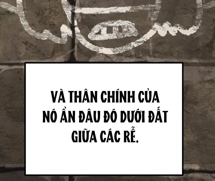 Câu Chuyện Sinh Tồn Của Kiếm Vương Ở Thế Giới Khác - Chương 88 - Trang 55