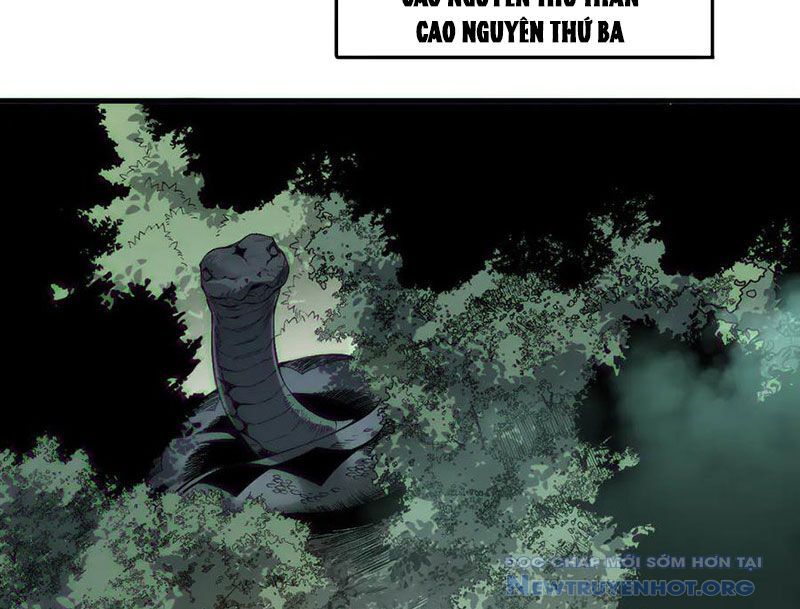 Thảm Họa Tử Linh Sư
