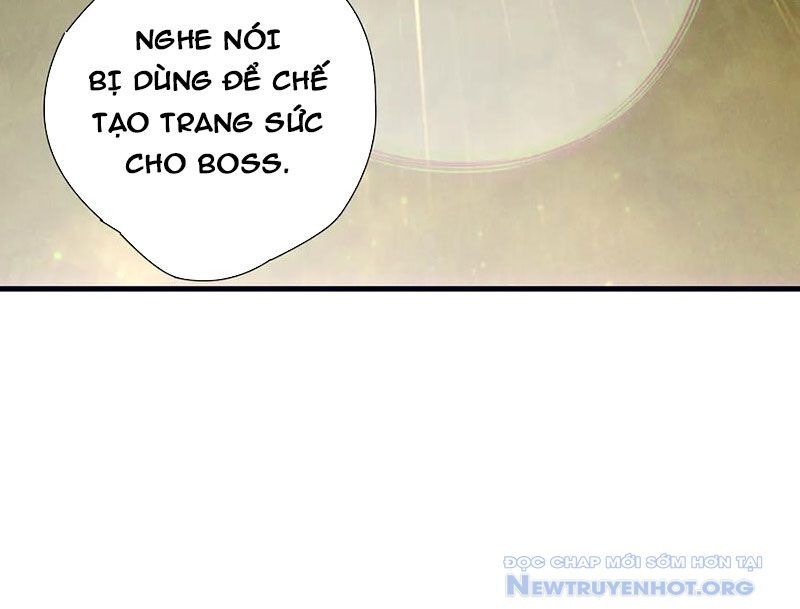 Thảm Họa Tử Linh Sư