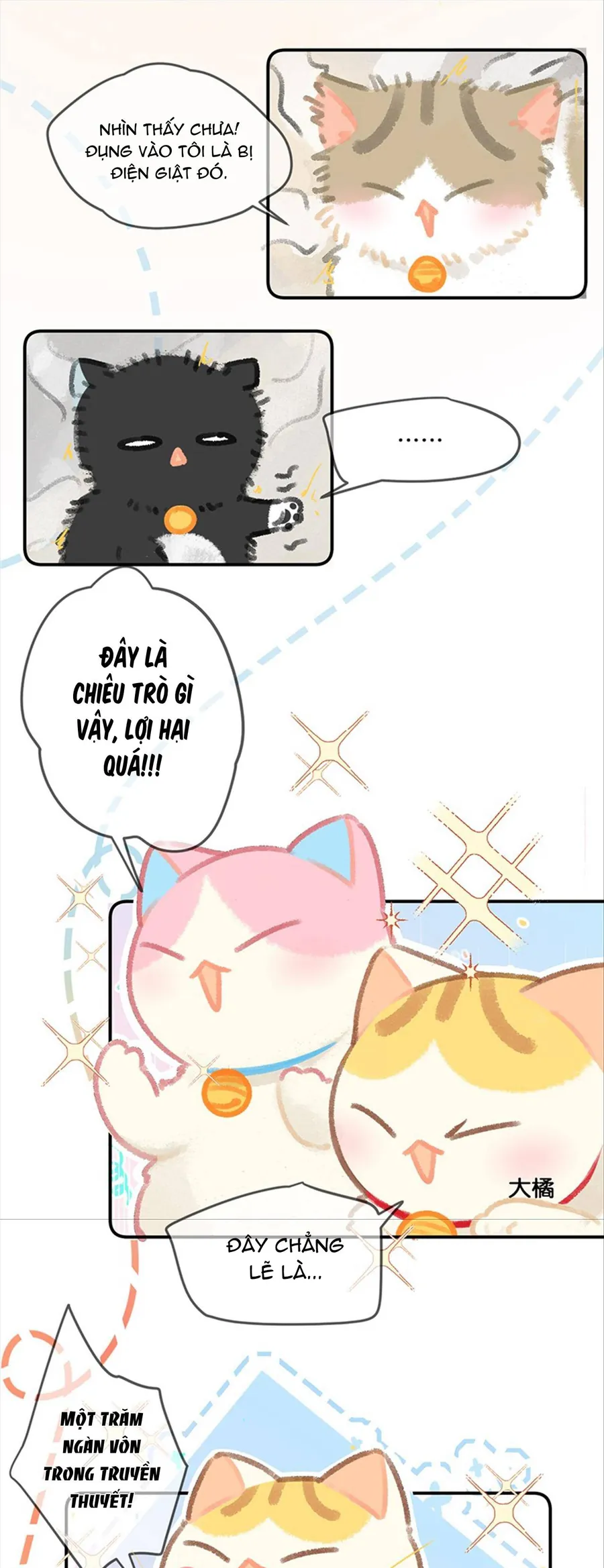 Lục Lạc Mèo - Chương 27 - Trang 5