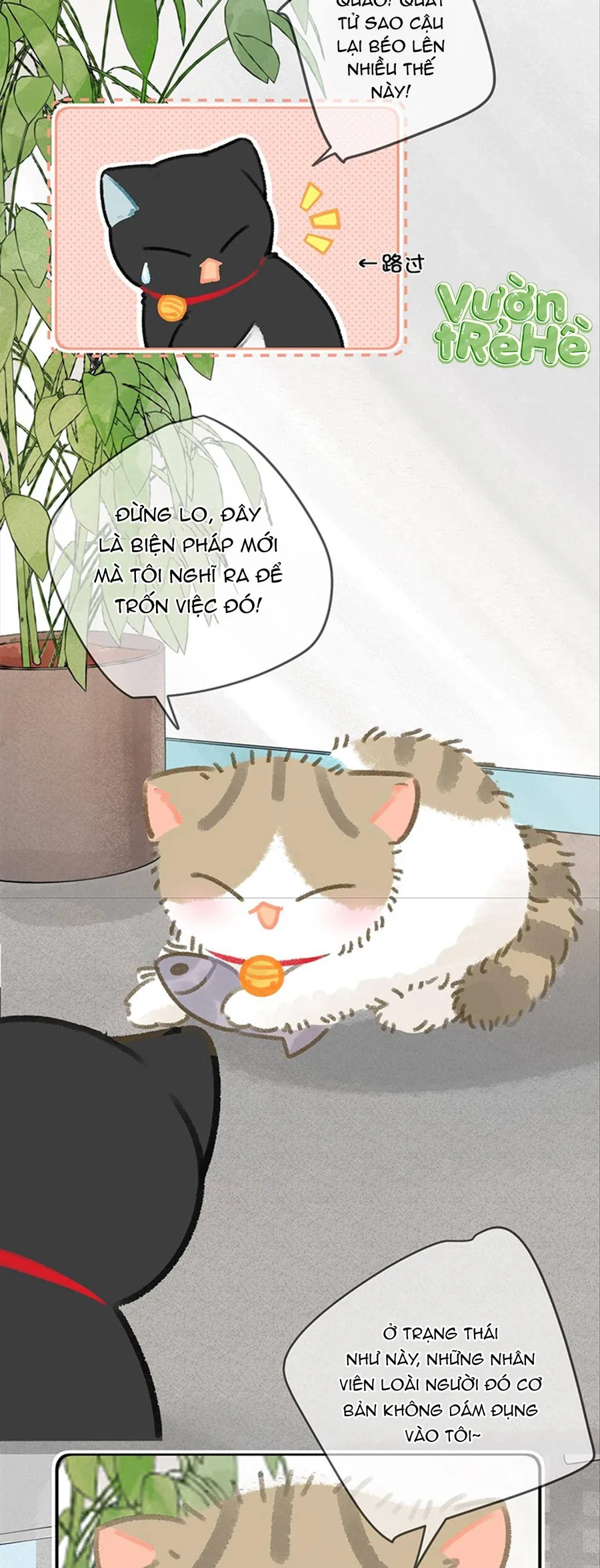 Lục Lạc Mèo - Chương 27 - Trang 3